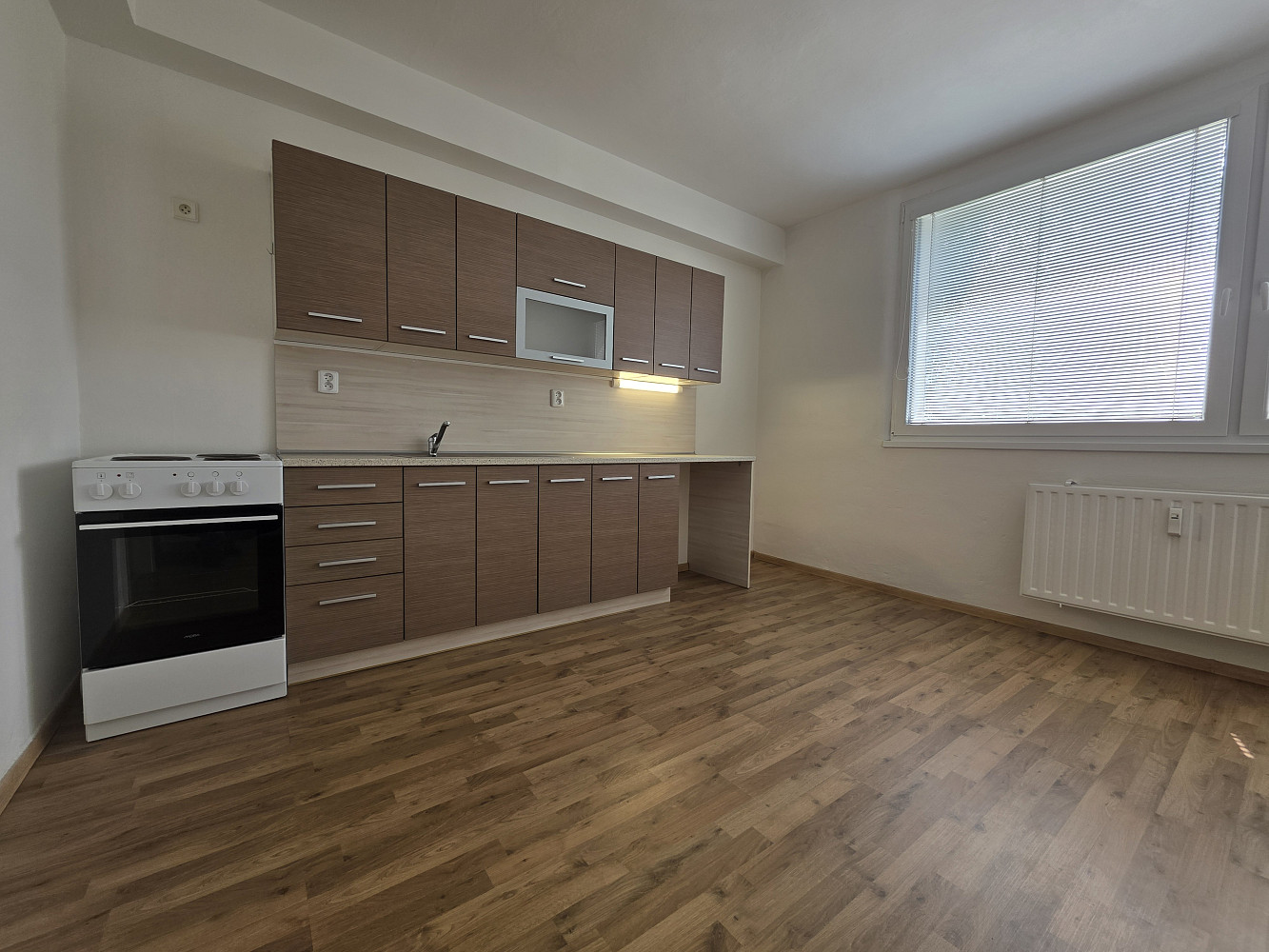 Pronájem bytu 1+1 48 m²