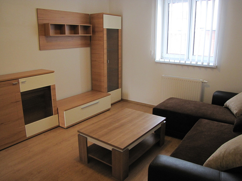 Pronájem bytu 2+1 46 m² — photo 3