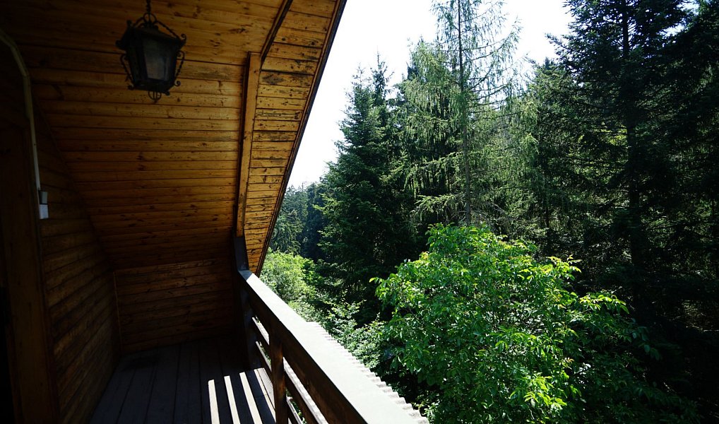Prodej chaty/chalupy 90 m² s pozemkem 2 191 m², Hvozdnice – náhled fotky 7
