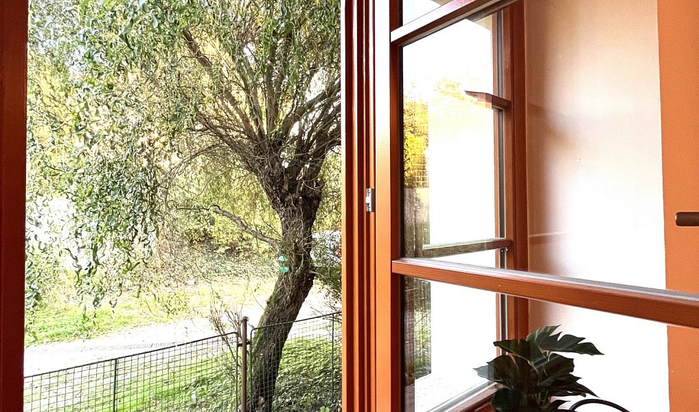 Pronájem domu 60 m² s pozemkem 79 m², Kamenný Přívoz – náhled fotky 6