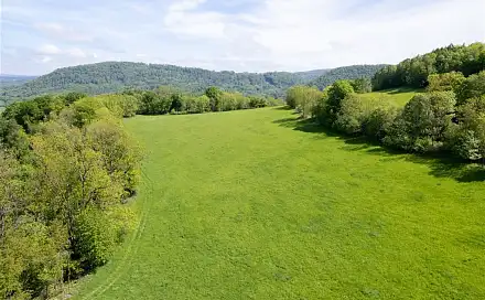 Prodej pole 19 126 m², Děčín - Děčín XXXIV-Chlum