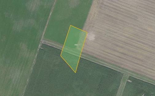 Prodej pole 7 028 m², Jestřabí Lhota, okres Kolín