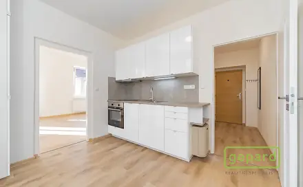 Pronájem bytu 1+1 42 m², Palackého, Cheb