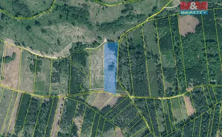 Prodej lesa 31 810 m², Jetětice, okres Písek