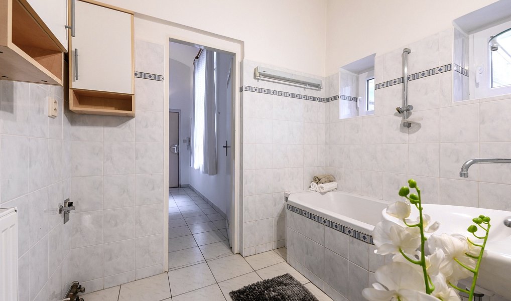 Pronájem bytu 2+1 66 m², Plzeň – náhled fotky 8