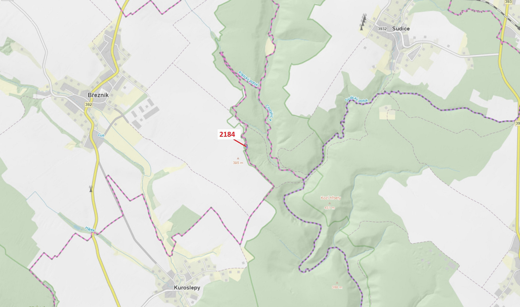 Dražba lesa 291 m²