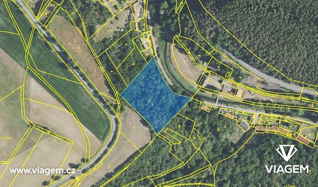 Prodej lesa 1 312 m², Pavlíkov – náhled fotky 3