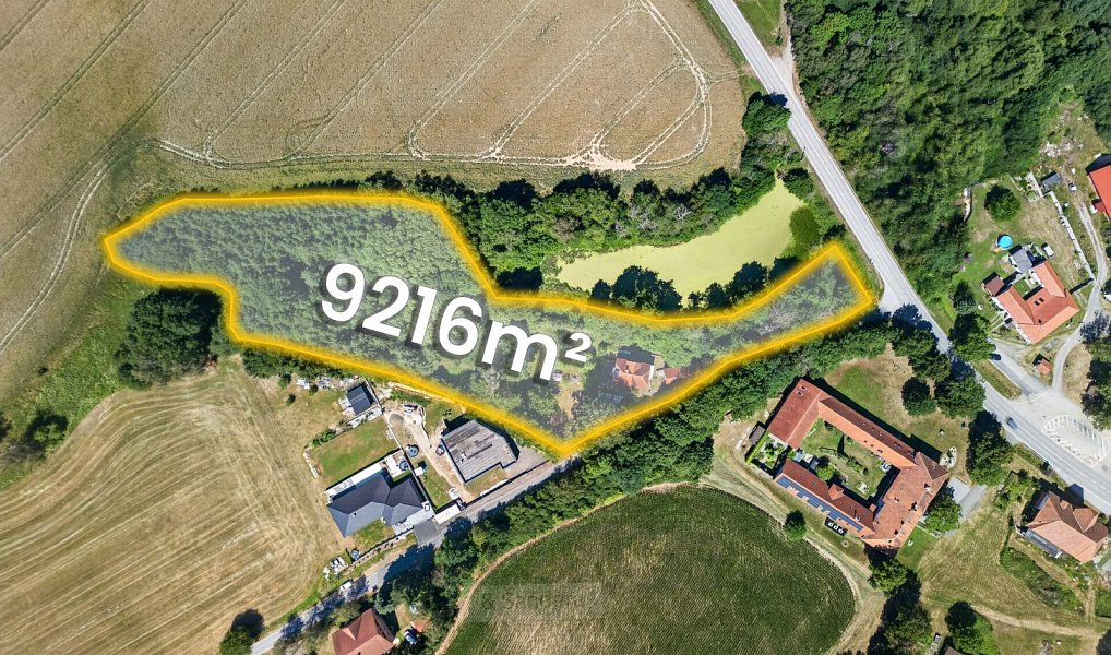 Prodej domu 339 m² s pozemkem 9 216 m², Mirkovice – náhled fotky 6