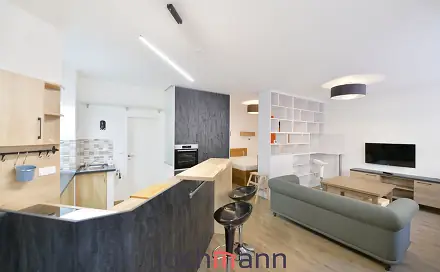 Pronájem bytu 1+kk 50 m²