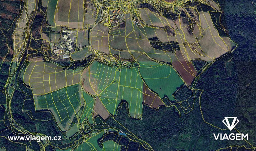Prodej pole 578 m², Těchonín – náhled fotky 4