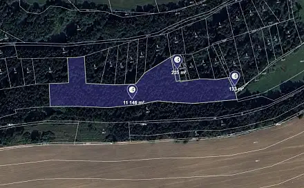 Prodej lesa 13 322 m², Řenče, okres Plzeň-Jih