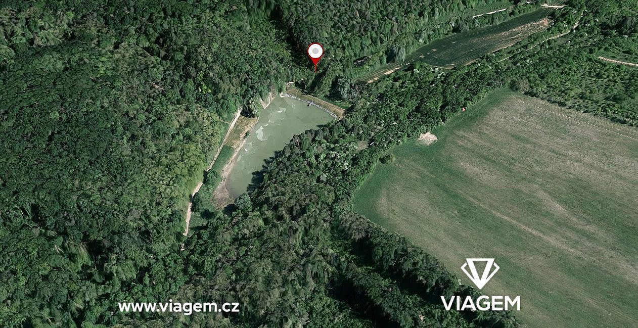 Prodej lesa 350 m²