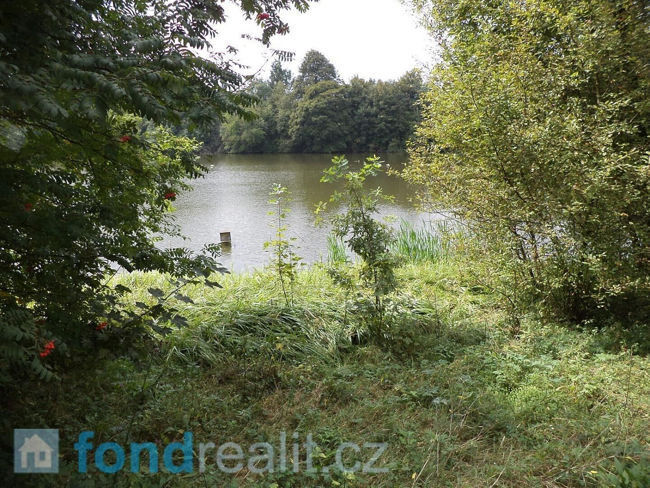 Prodej pozemku 1 919 m² – fotografie 3