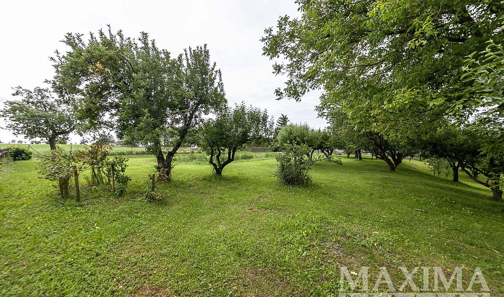 Prodej stavebního pozemku 1 372 m², Běchary – náhled fotky 10