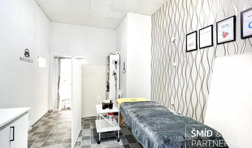 Prodej domu 540 m² s pozemkem 284 m², Zásmuky – náhled fotky 2
