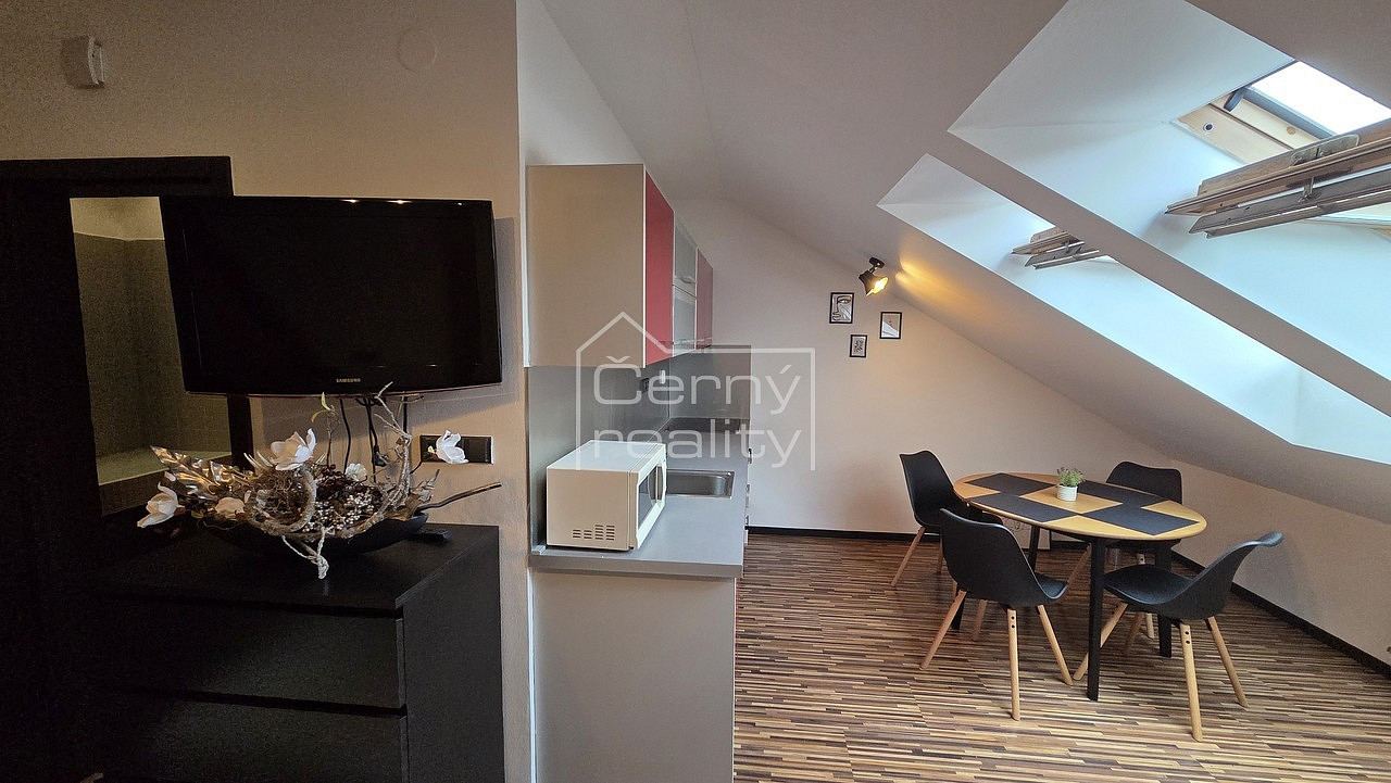 Pronájem bytu 1+kk 50 m²