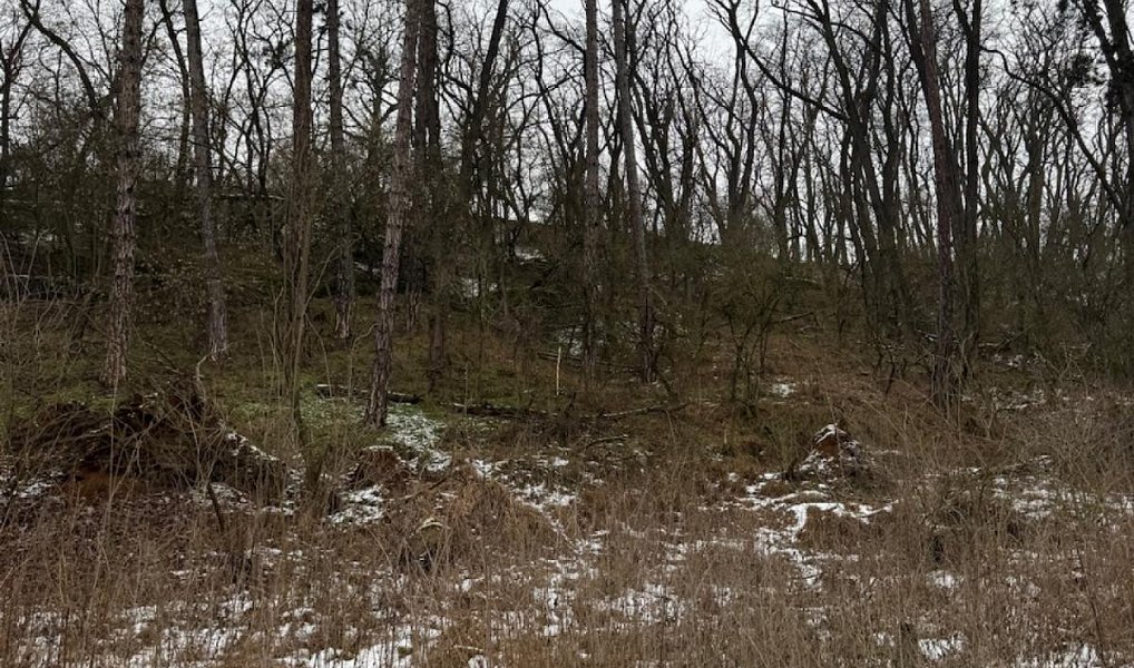 Prodej lesa 5 445 m², Dolní Zimoř – náhled fotky 2