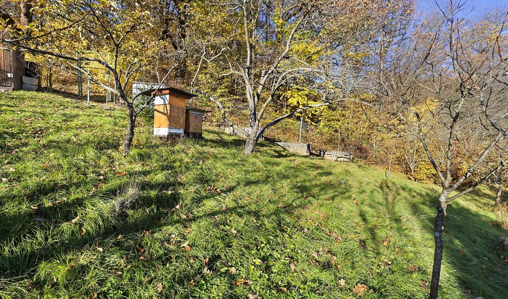 Prodej zahrady 514 m², Zlín – náhled fotky 14