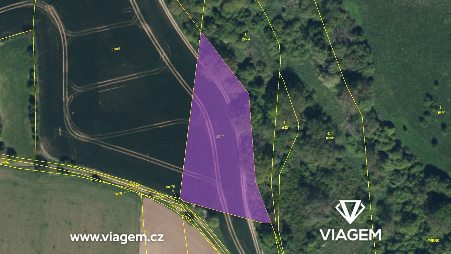 Prodej pole 4 475 m² – fotografie 4