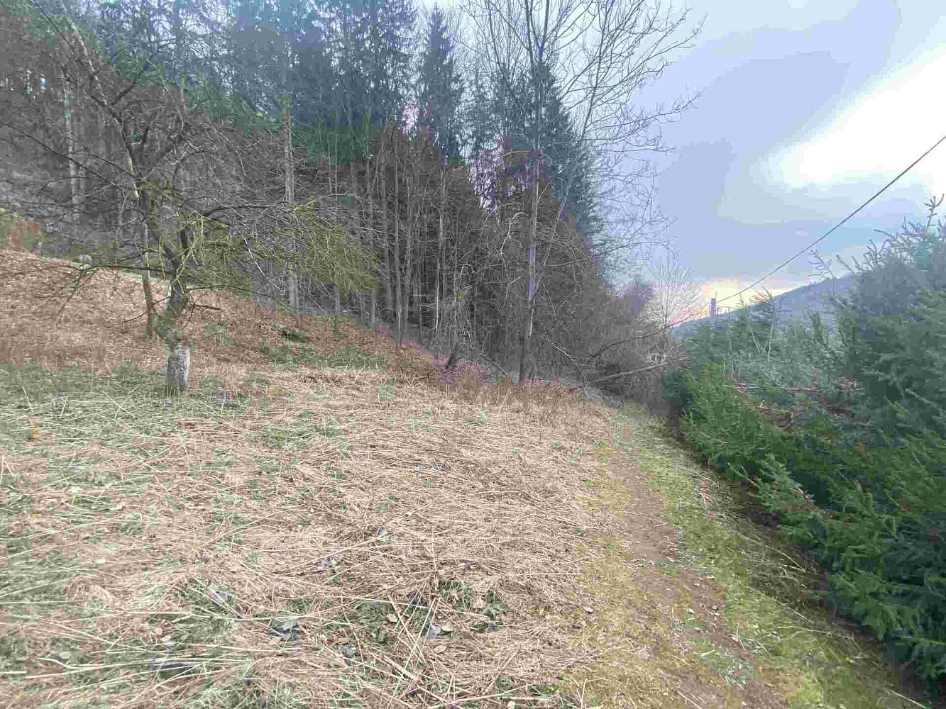 Prodej zahrady 903 m²
