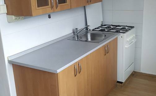 Pronájem bytu 1+1 31 m², 29. dubna, Ostrava - Výškovice