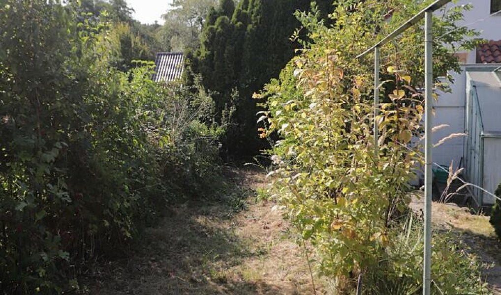 Prodej specifického typu nemovitosti 30 m2, Heřmanův Městec – náhled fotky 19