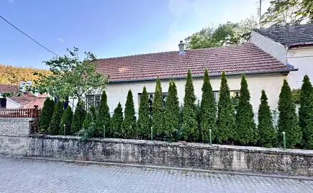 Prodej domu 100 m² s pozemkem 329 m², Dolní Kounice, okres Brno-venkov