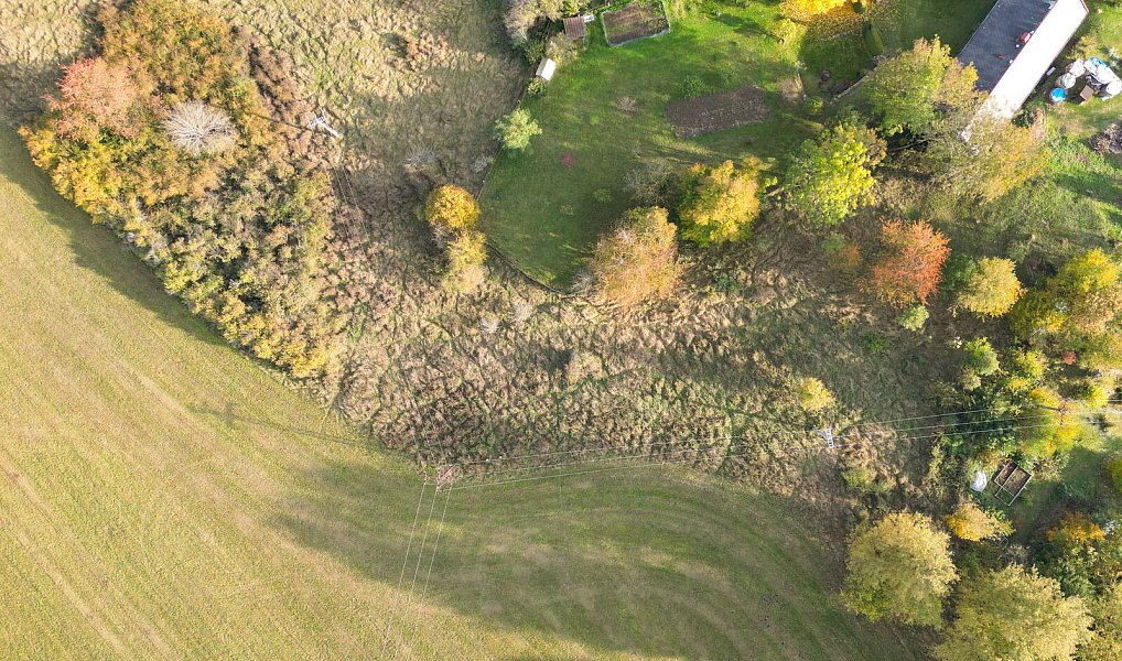 Prodej pozemku 15 970 m², Planá – náhled fotky 7