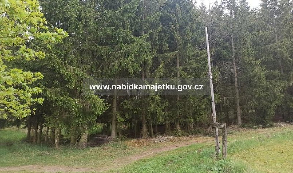 Prodej lesa 433 m², Černošín – náhled fotky 4