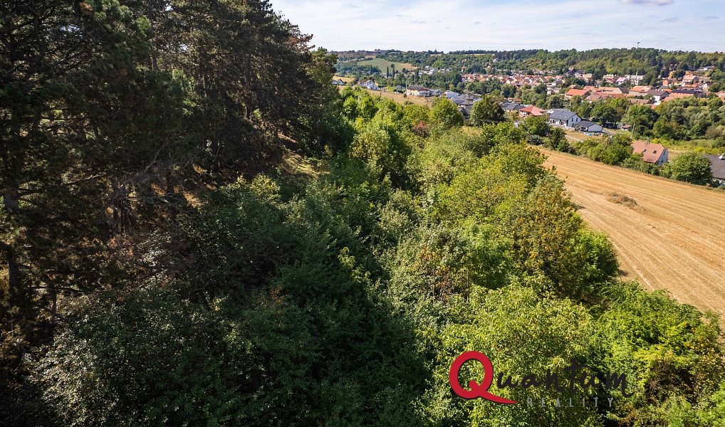 Prodej stavebního pozemku 16 339 m², Brandýsek – náhled fotky 44