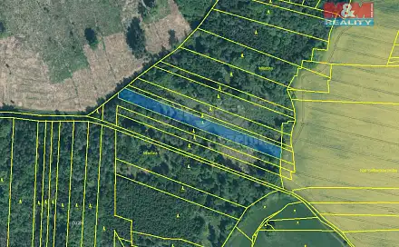 Prodej lesa 4 125 m², Stehlovice, okres Písek