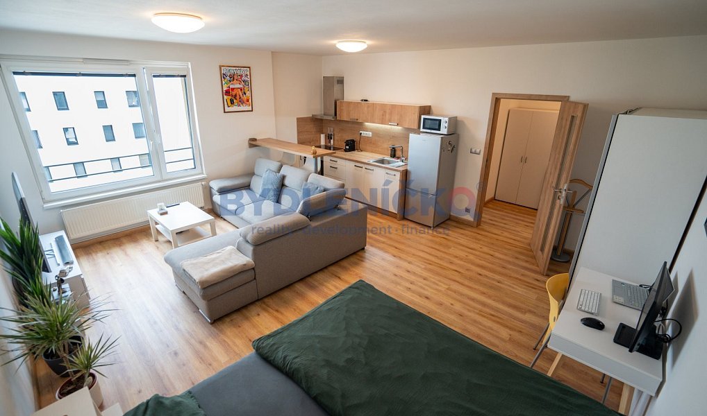 Prodej bytu 1+kk 45 m², České Budějovice – náhled fotky 2