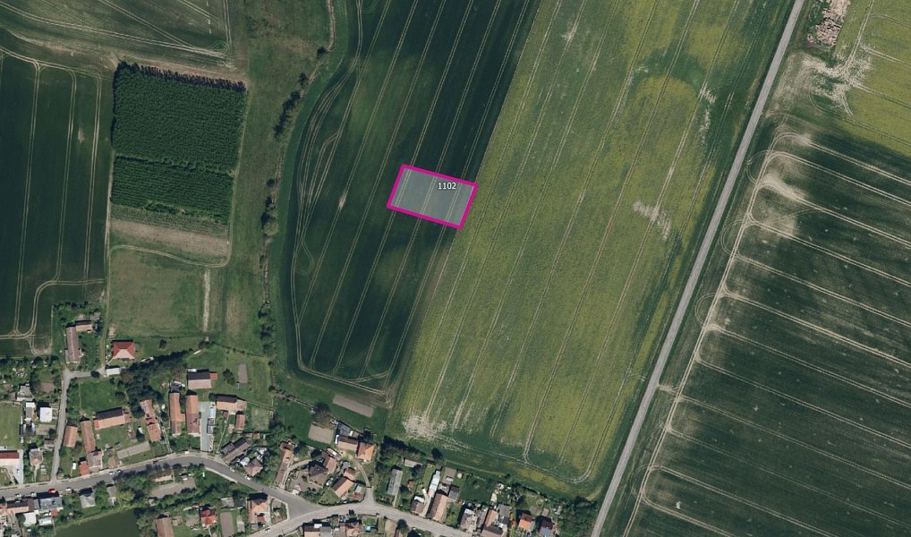 Prodej pole 19 647 m², Vlčí Habřina – náhled fotky 2