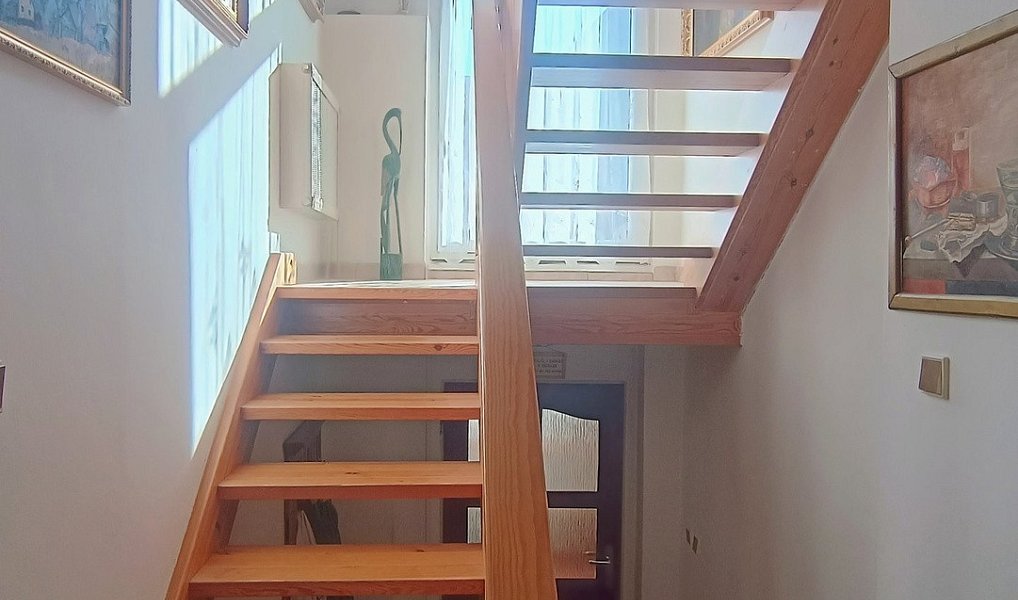 Prodej domu 268 m² s pozemkem 1 347 m², Plzeň – náhled fotky 23