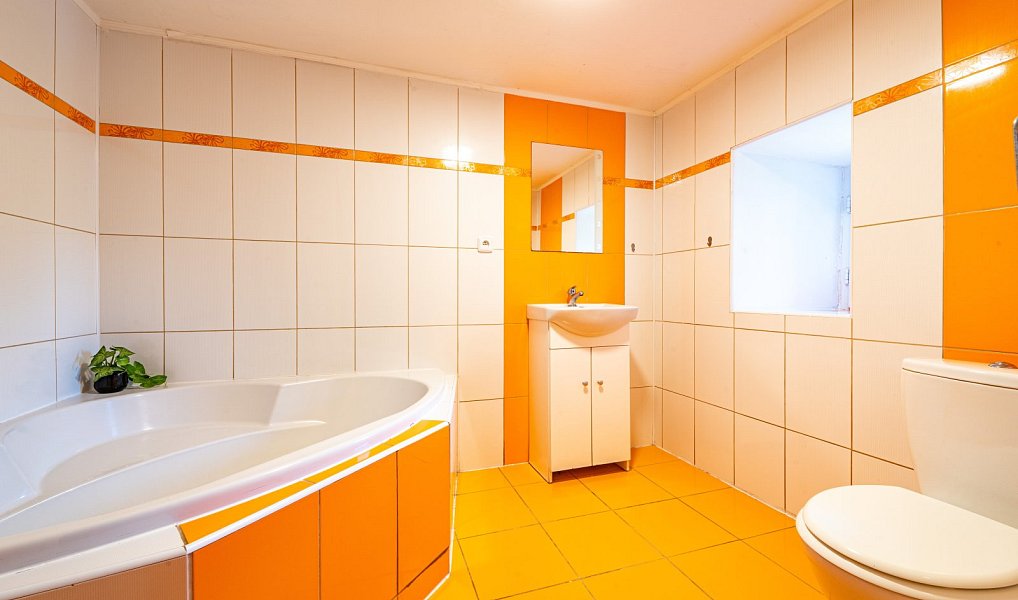 Prodej chaty/chalupy 190 m² s pozemkem 1 100 m², Držkov – náhled fotky 5