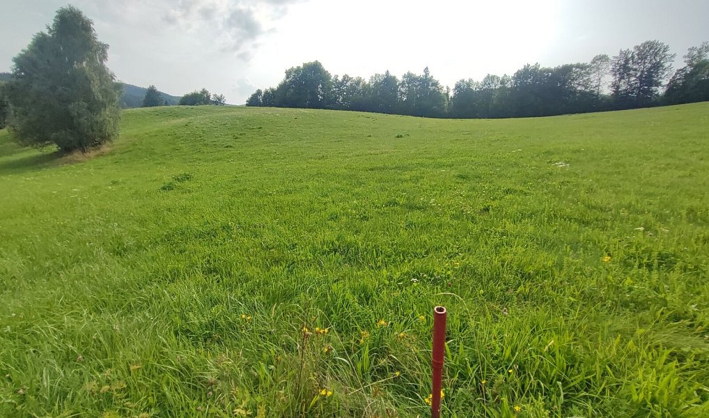 Prodej stavebního pozemku 22 105 m², Lipová-lázně – náhled fotky 7