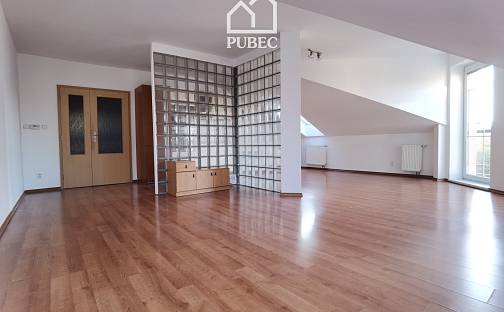 Pronájem bytu 2+kk 67 m², Radyňská, Plzeň - Východní Předměstí