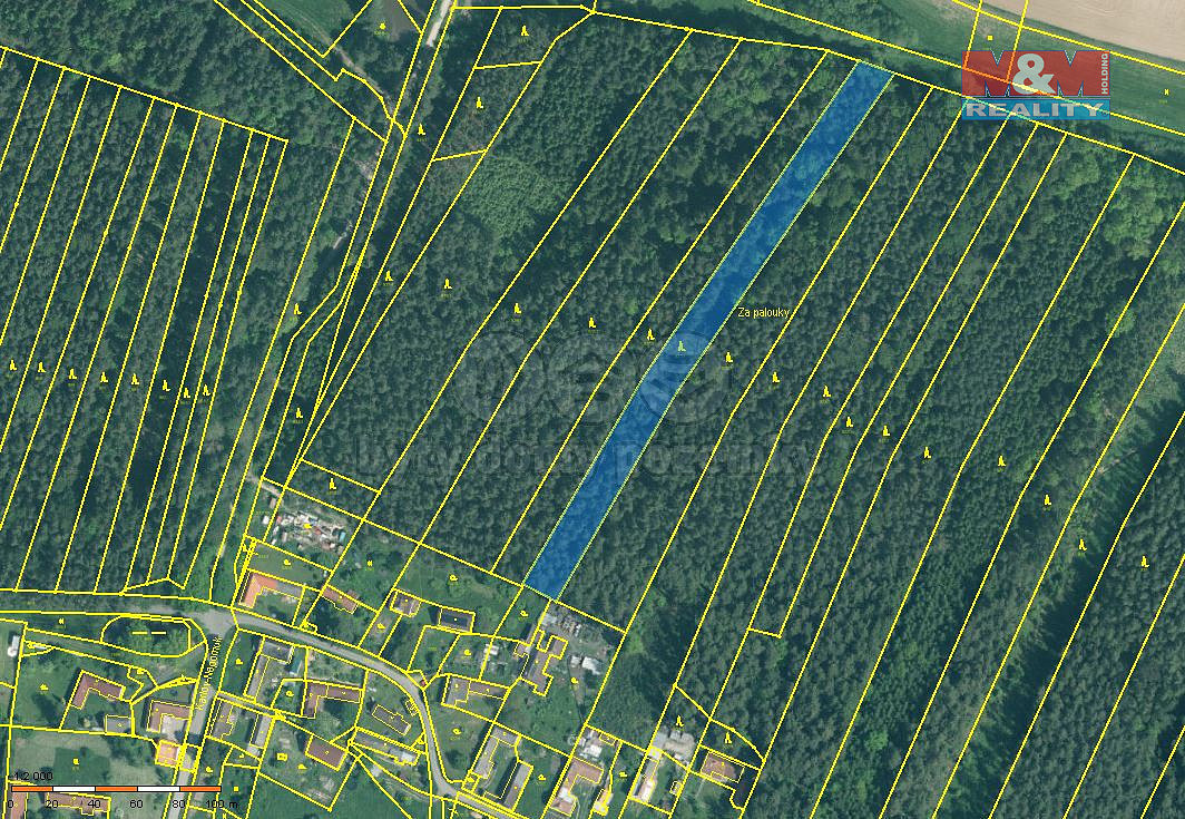 Prodej lesa 5 161 m²