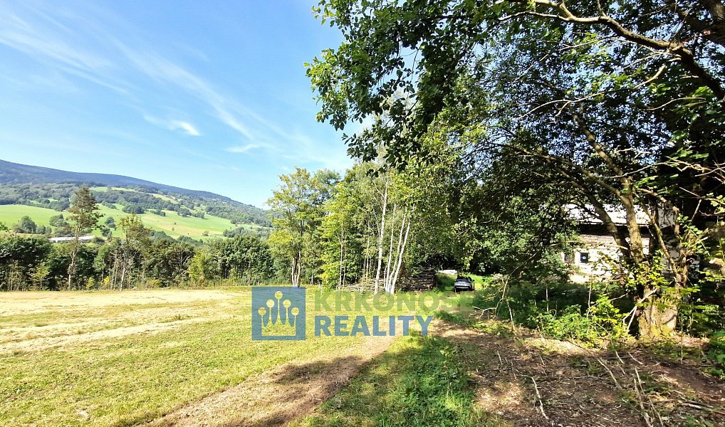 Prodej domu 320 m² s pozemkem 2 462 m², Trutnov – náhled fotky 9