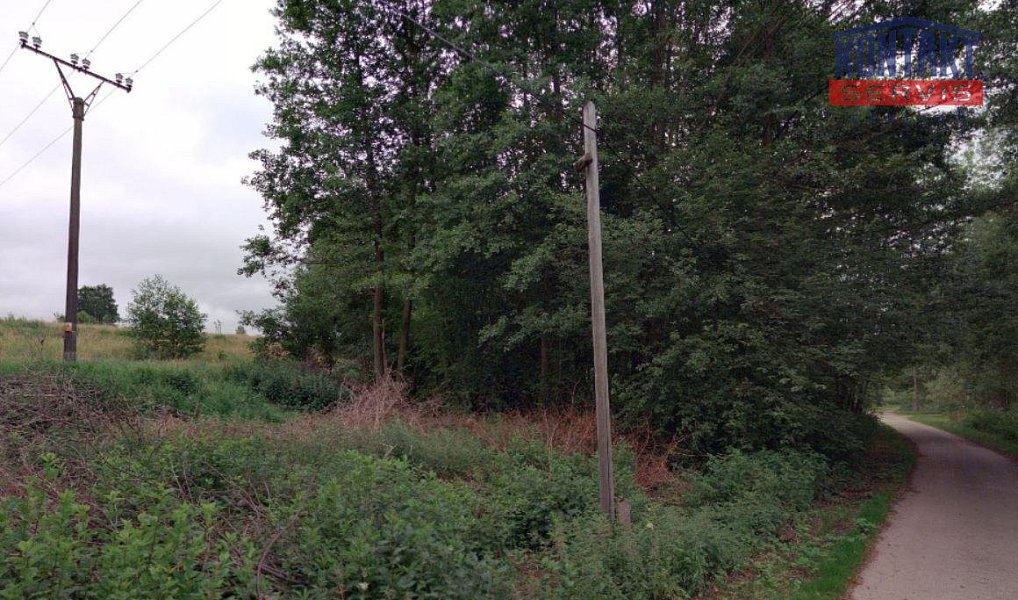 Prodej louky 1 475 m², Nové Hrady – náhled fotky 5