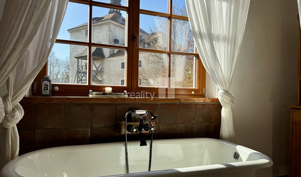 Prodej domu 461 m² s pozemkem 290 m², Malešov – náhled fotky 3