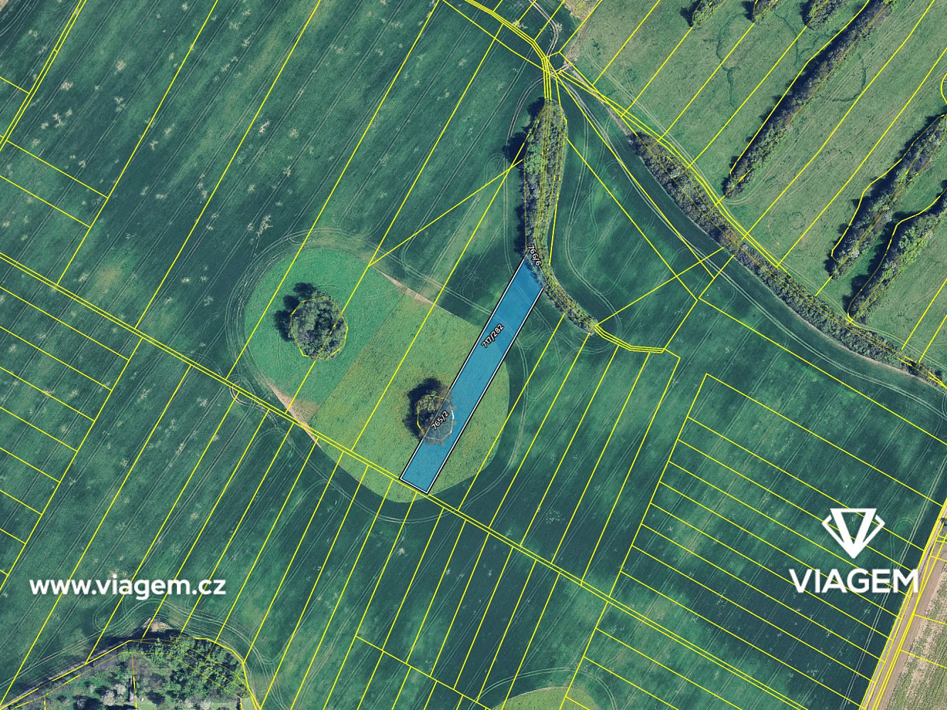 Prodej pole 1 833 m² – fotografie 4