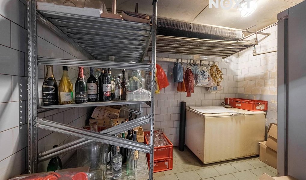 Prodej domu 380 m² s pozemkem 3 150 m², Čestín – náhled fotky 14