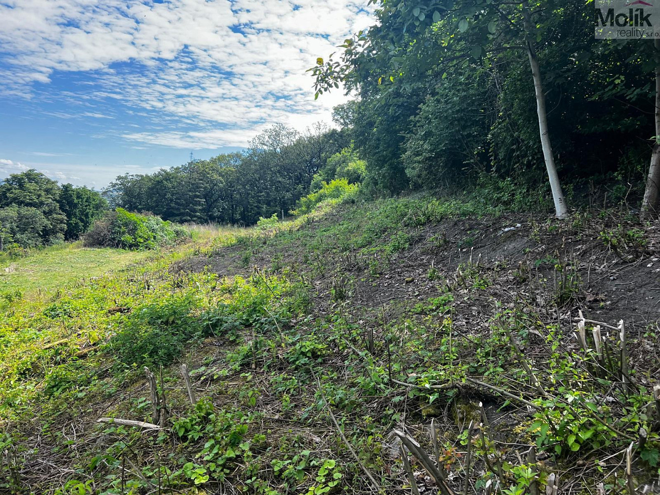 Prodej stavebního pozemku 1 463 m² – fotografie 5