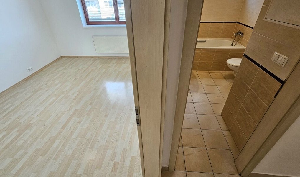 Pronájem bytu 2+kk 65 m², Praha – náhled fotky 20