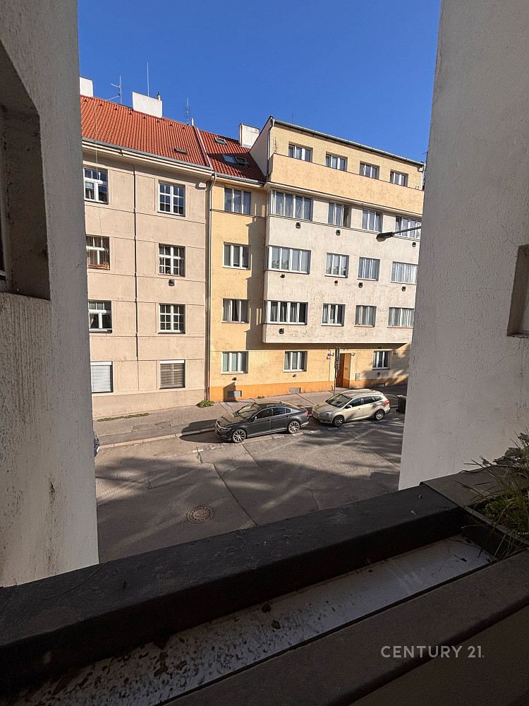 Fotka 13 z 13