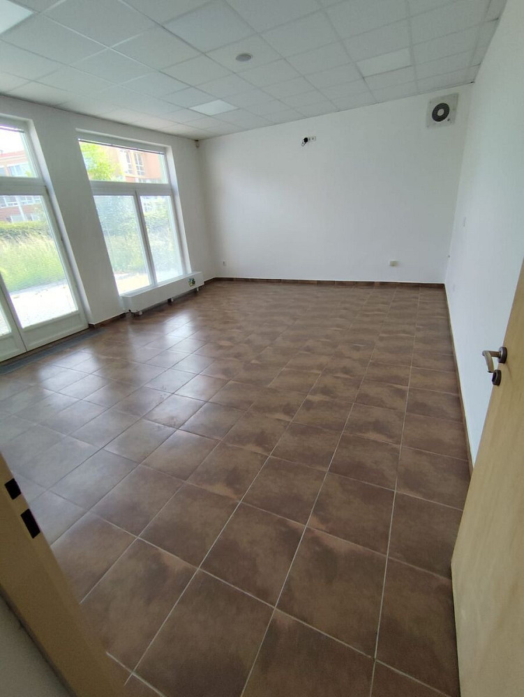 Pronájem obchodních prostor 248 m² — photo 4