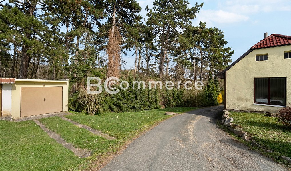 Prodej domu 270 m² s pozemkem 4 446 m², Dolní Kounice – náhled fotky 33