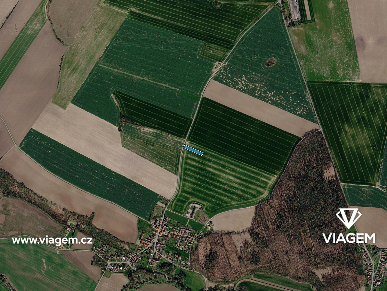 Prodej pole 2 990 m² — photo 3