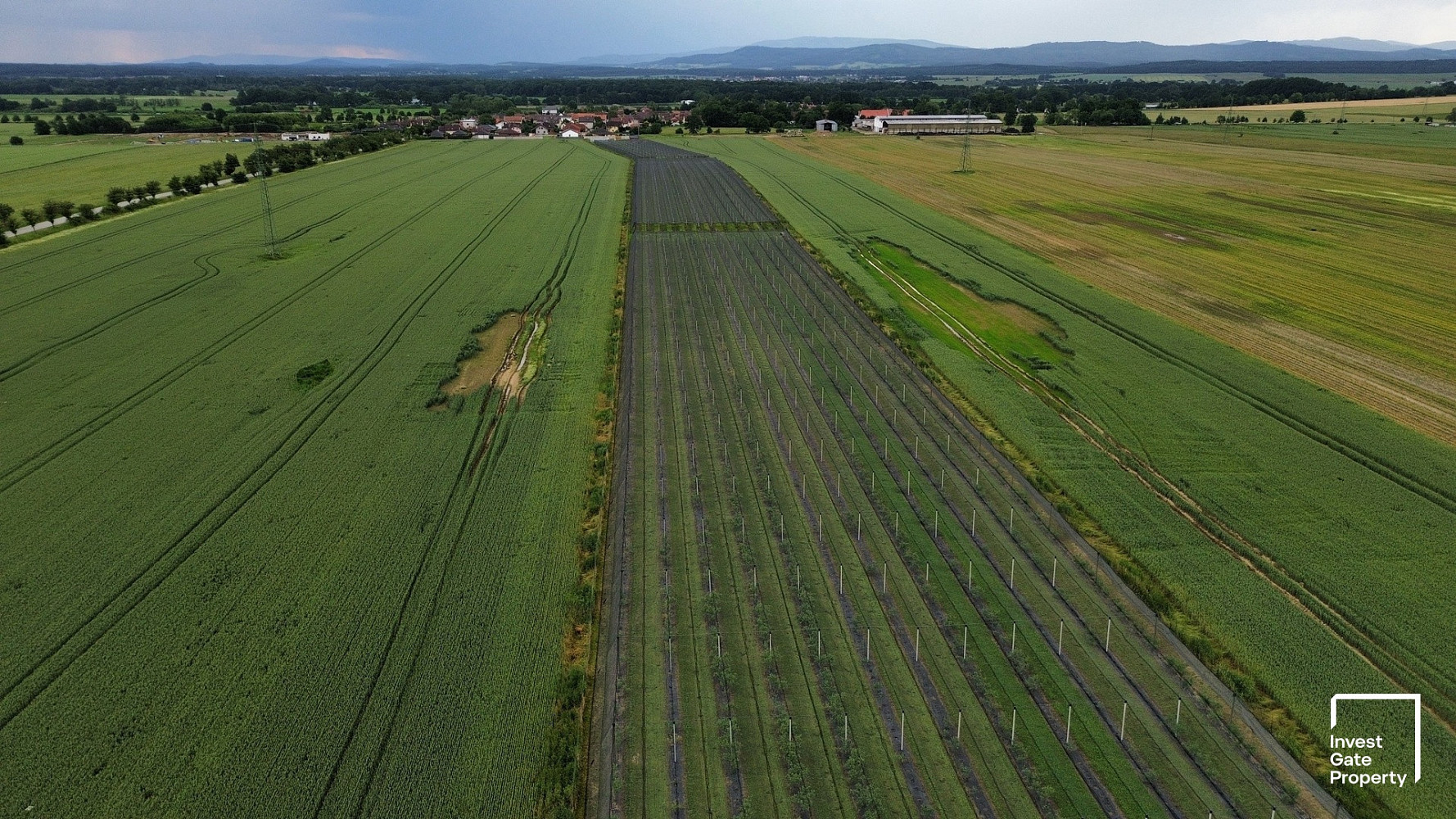 Prodej komerčního pozemku 32 904 m² – fotografie 2